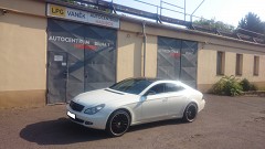 CLS 350 W219