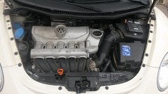 New Beetle 2.5
