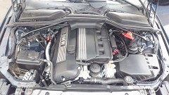 E60 523i