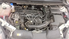 Focus II 1.6