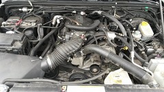 Wrangler 3.8